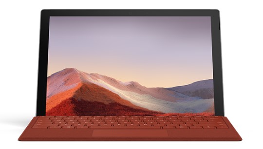 松潘清洁和维护 Surface